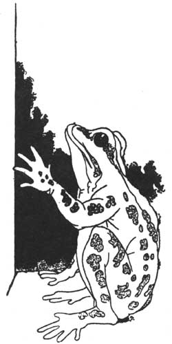 Charles Robinson's Frog Prince