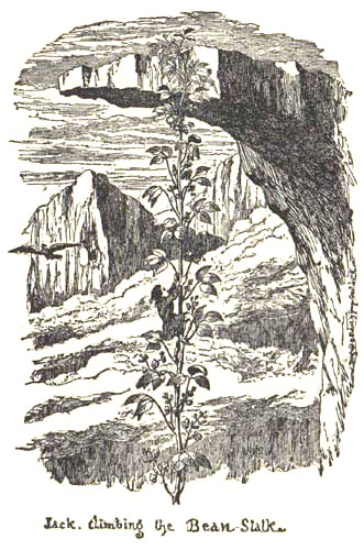 Cruikshank Jack and the Beanstalk 1