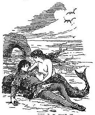 A. W. Bayes' Little Mermaid 1