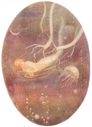 Margaret Tarrant's Little Mermaid 6