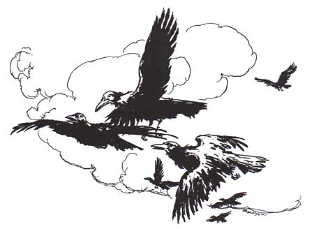 Rackham's Seven Ravens